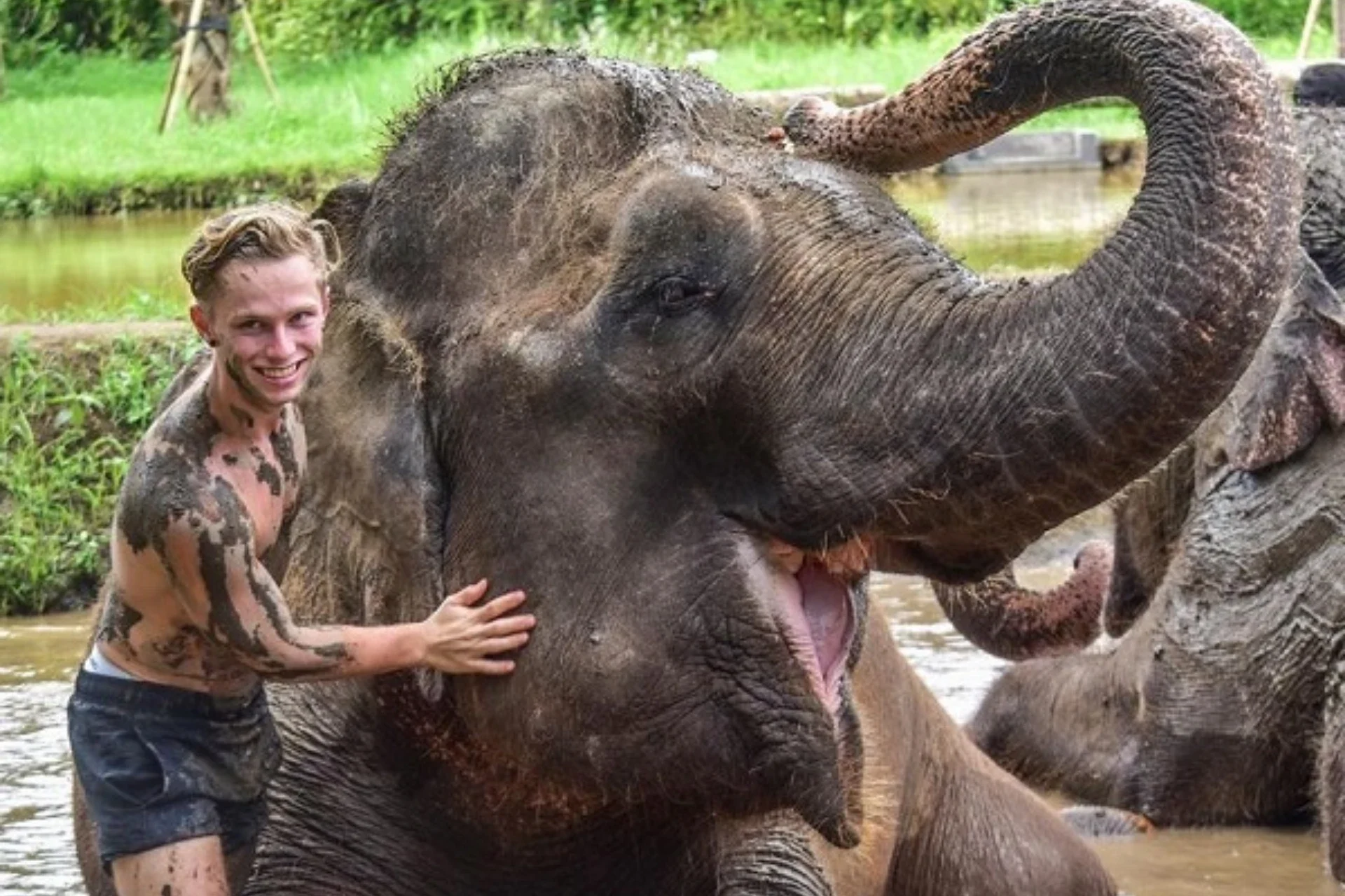 elephant mud fun 3