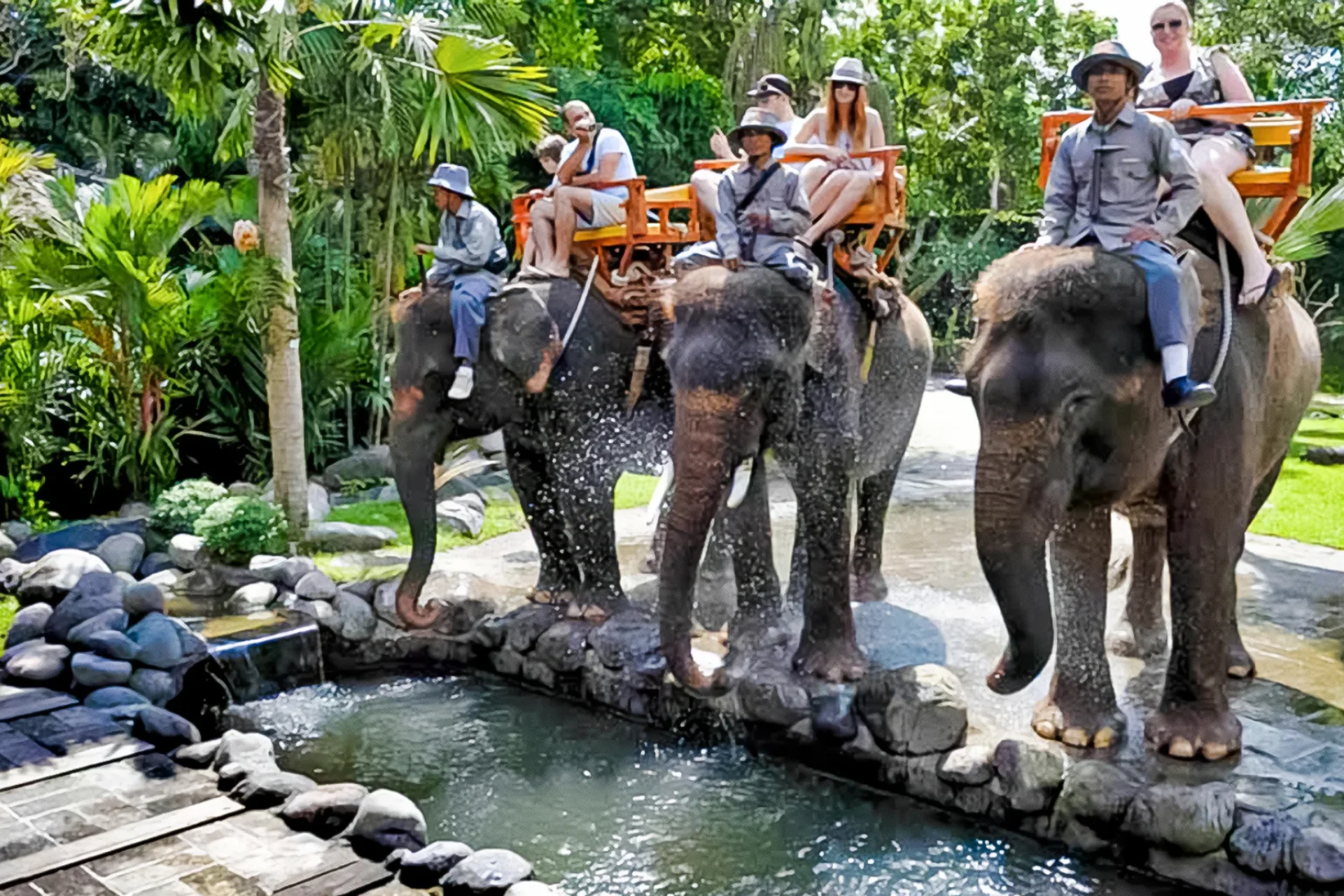 elephant ride 4